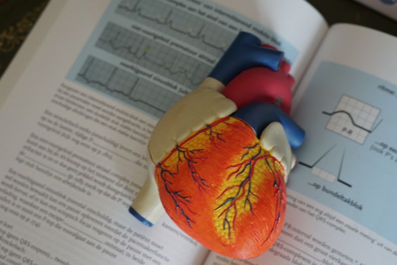 Probleme Cardiace