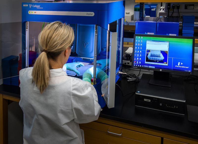 metoda PCR pentru teste de paternitate